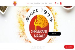 Website Design and Development in WIX